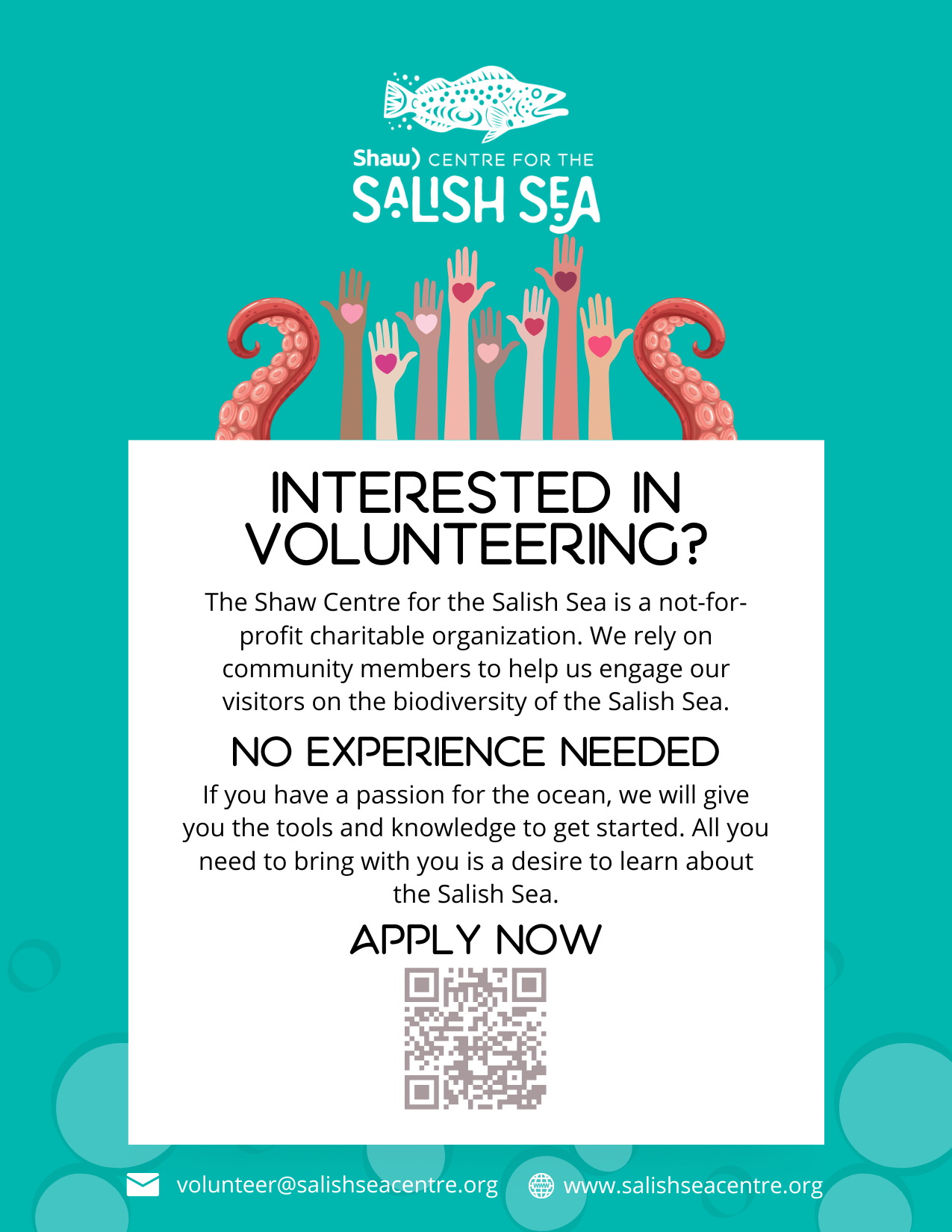 Salish Sea - Volunteer Opportunities - No Experience Needed