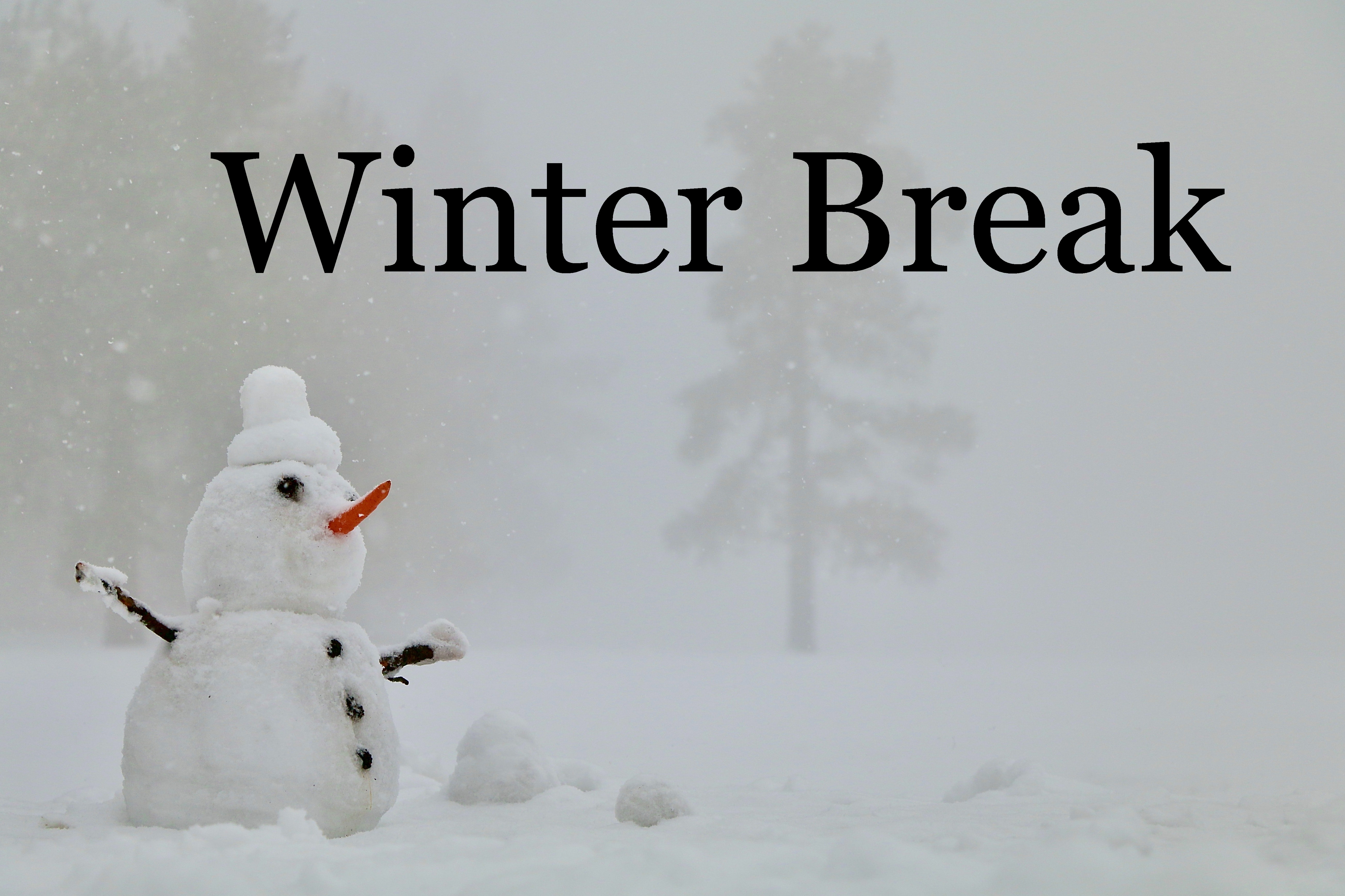 snowman - winter break