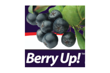 Berry Up Farms - Summer Work 