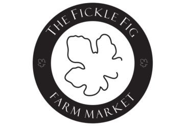 Fickle Fig