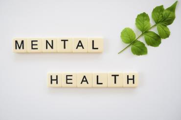 Mental Health tiles with stem