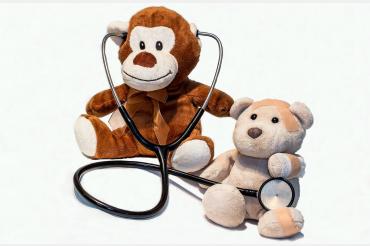 stuffed animals with stethescope