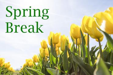 Spring Break Flowers