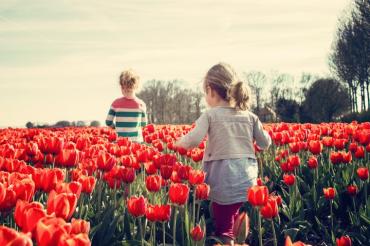Kids running through red tulips