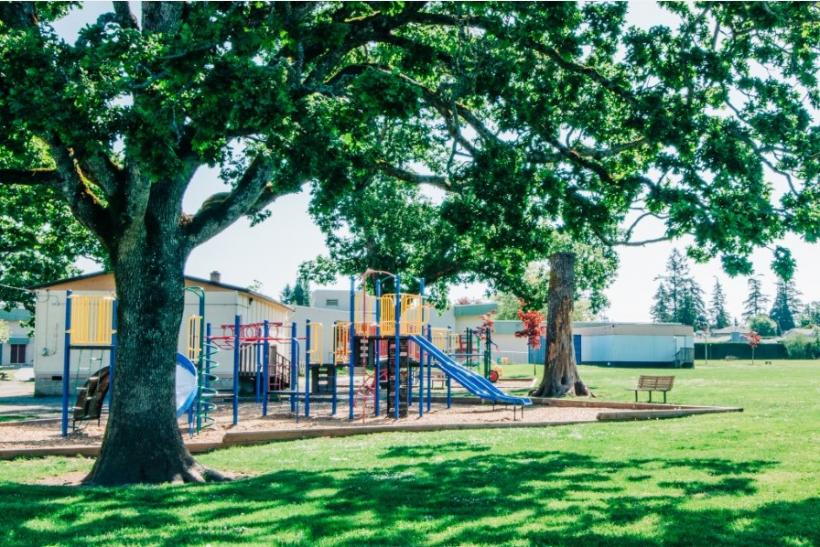 school playground under shady tree.