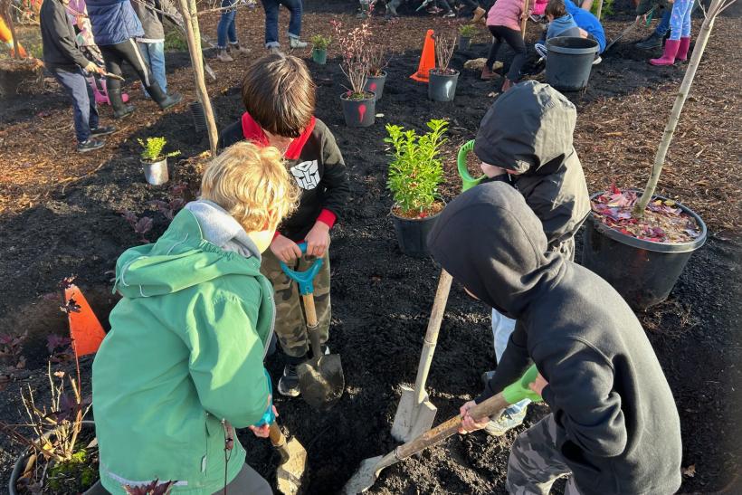 children digging to plant trees