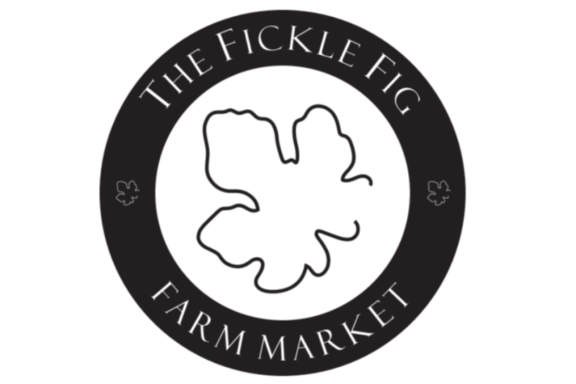 Fickle Fig