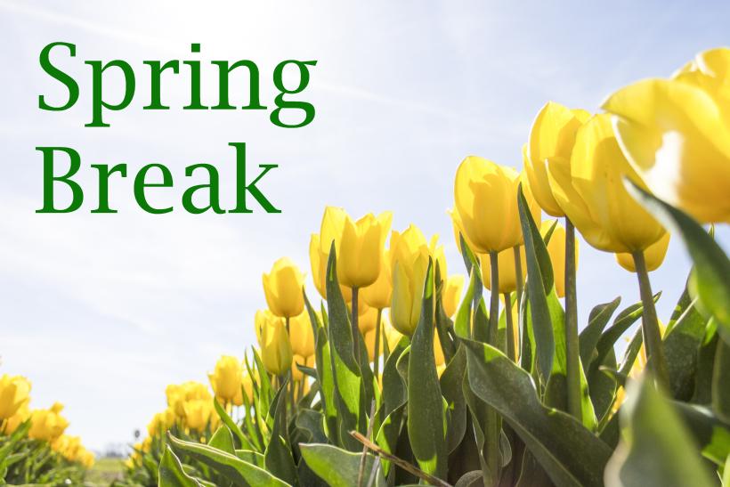 Spring Break Flowers