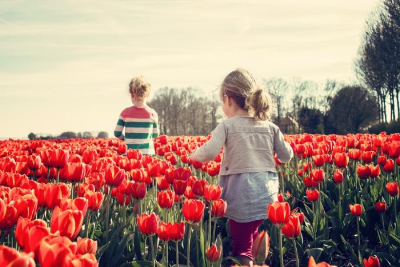Kids running through red tulips